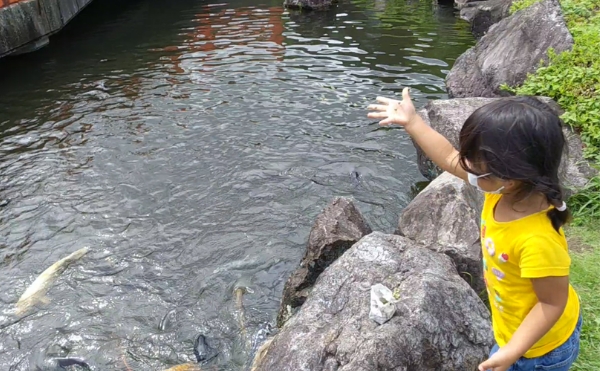 鷲の里鯉の池