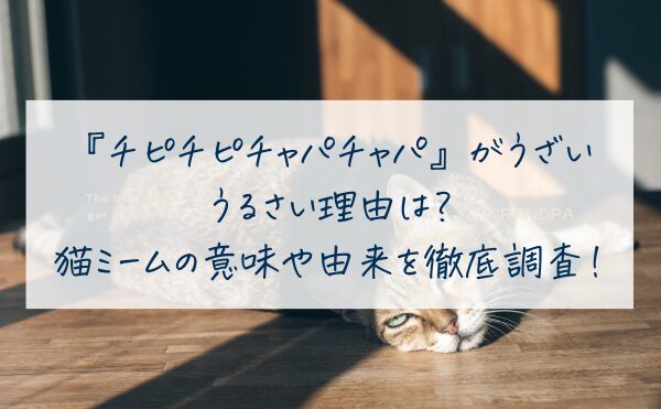 『チピチピチャパチャパ』がうざい・うるさい理由は？猫ミームの意味や由来を徹底調査！